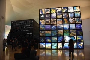 Rio: Olympic Boulevard, AquaRio and Museum of Tomorrow Tour