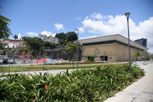 Rio: Olympic Boulevard, AquaRio and Museum of Tomorrow Tour