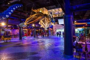 Rio: Olympic Boulevard, AquaRio and Museum of Tomorrow Tour