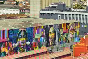 Rio: Olympic Boulevard, AquaRio and Museum of Tomorrow Tour