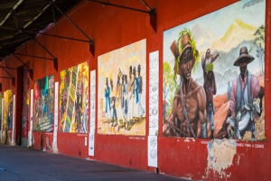 Rio: Olympic Boulevard, Museum of Tomorrow & History Tour