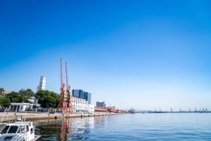 Rio: Olympic Boulevard, Museum of Tomorrow & History Tour