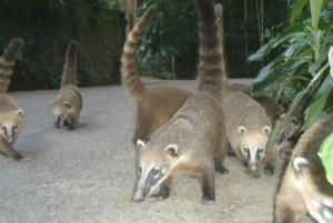 Rio: Private Tour 5 Hours Customized Tour With a Local Guide