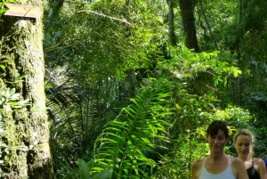 Rio: Private Tour 5 Hours Customized Tour With a Local Guide