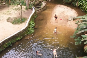 Santa Teresa & Tijuca Forest Private Tour - by Alan Denis