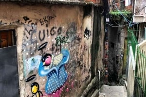Rio: Immersive Rocinha Favela Walking Tour with Local Guide