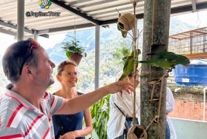 Rio: Immersive Rocinha Favela Walking Tour with Local Guide