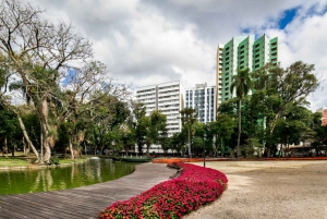 Rio Romance: A Journey of Love and Discovery