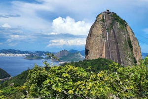 Rio’s Epic Beach & City Saga: A Day of Discovery