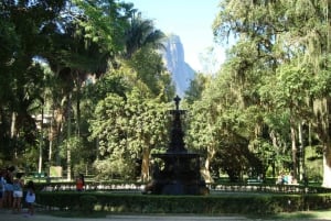 Rio’s Green Treasures: Tijuca Forest & Jardim Botânico Tour