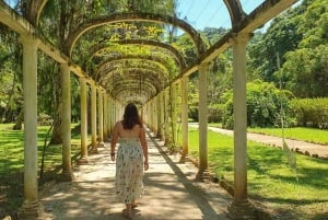 Rio’s Green Treasures: Tijuca Forest & Jardim Botânico Tour