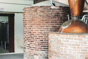 Rio: Sitio Burle Marx and Cachaça Distillery Private Tour