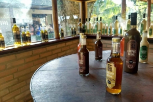 Rio: Sitio Burle Marx and Cachaça Distillery Private Tour