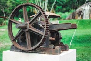 Rio: Sitio Burle Marx and Cachaça Distillery Private Tour