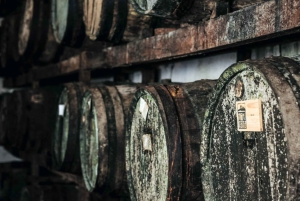 Rio: Sitio Burle Marx and Cachaça Distillery Private Tour