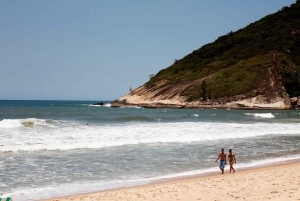 Rio: Sitio Burle Marx and Cachaça Distillery Private Tour