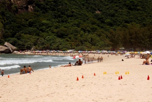 Rio: Sitio Burle Marx and Cachaça Distillery Private Tour