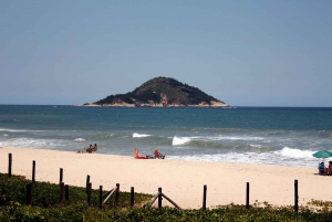 Rio: Sitio Burle Marx and Cachaça Distillery Private Tour