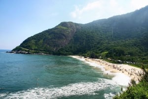 Rio: Sitio Burle Marx and Cachaça Distillery Private Tour