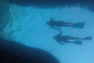 Rio: Snorkel & Swim with Turtles Tour at Tijuca Islands