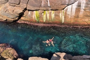 Rio: Snorkel & Swim with Turtles Tour at Tijuca Islands