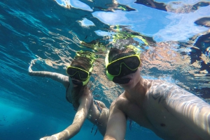 Rio: Snorkel & Swim with Turtles Tour at Tijuca Islands