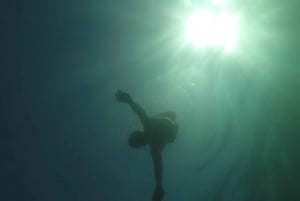 Rio: Snorkel & Swim with Turtles Tour at Tijuca Islands