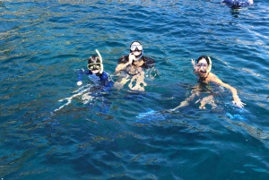 Rio: Snorkel & Swim with Turtles Tour at Tijuca Islands