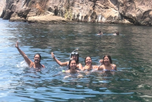 Rio: Snorkel & Swim with Turtles Tour at Tijuca Islands