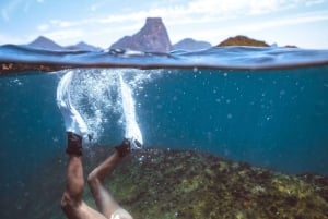 Rio: Snorkel & Swim with Turtles Tour at Tijuca Islands