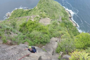 Rio de Janeiro: Sugar Loaf Mountain Hiking Tour