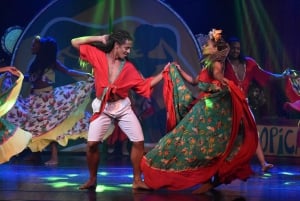 Rio Ticket for the Ginga Tropical Samba