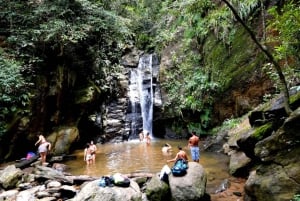Rio: Tijuca Forest & Horto Waterfalls Circuit Tour