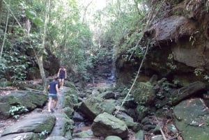 Rio: Tijuca Forest & Horto Waterfalls Circuit Tour