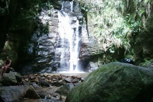 Rio: Tijuca Forest & Horto Waterfalls Circuit Tour