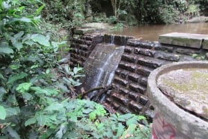 Rio: Tijuca Forest & Horto Waterfalls Circuit Tour