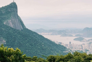 Rio: Tijuca Forest’s Highest Peak & Jungle Waterfall Shower