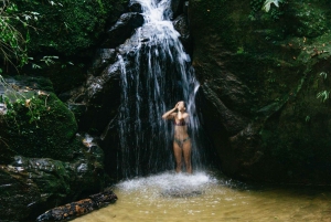Rio: Discover Tijuca Forest - Hike to Peaks, Caves & Falls