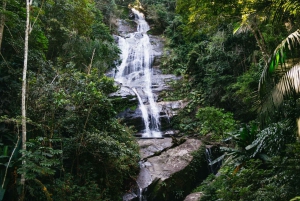 Rio: Discover Tijuca Forest - Hike to Peaks, Caves & Falls