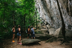 Rio: Discover Tijuca Forest - Hike to Peaks, Caves & Falls