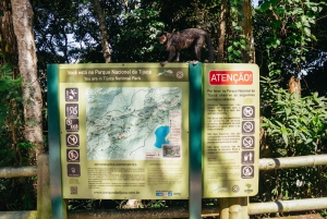 Rio: Discover Tijuca Forest - Hike to Peaks, Caves & Falls