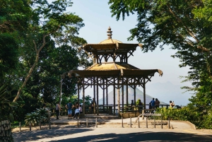 Rio: Discover Tijuca Forest - Hike to Peaks, Caves & Falls