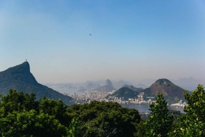 Rio: Discover Tijuca Forest - Hike to Peaks, Caves & Falls