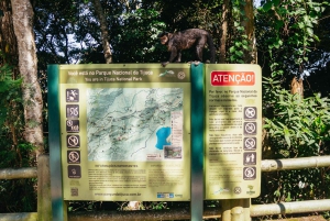 Rio: Discover Tijuca Forest - Hike to Peaks, Caves & Falls