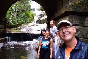 Hiking Tour in Tijuca Forest: Waterfalls, Views & Picnic
