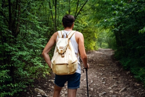 Hiking Tour in Tijuca Forest: Waterfalls, Views & Picnic