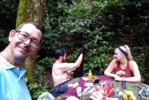 Hiking Tour in Tijuca Forest: Waterfalls, Views & Picnic
