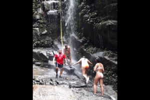 Hiking Tour in Tijuca Forest: Waterfalls, Views & Picnic
