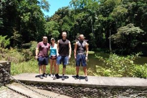 Hiking Tour in Tijuca Forest: Waterfalls, Views & Picnic
