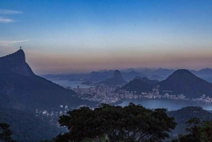 Hiking Tour in Tijuca Forest: Waterfalls, Views & Picnic